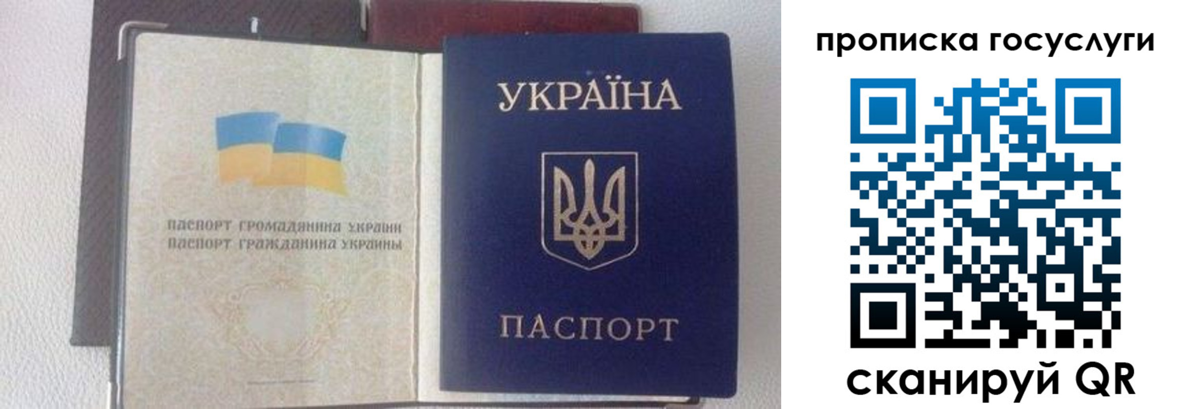 временная регистрация недорого в Чечне